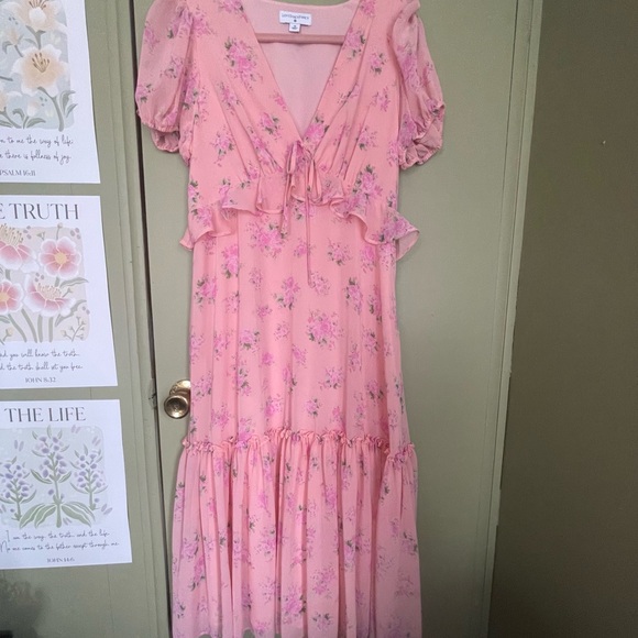 LoveShackFancy Dresses & Skirts - Loveshackfancy X Target Fleur Pink Roses Dress Sz 12